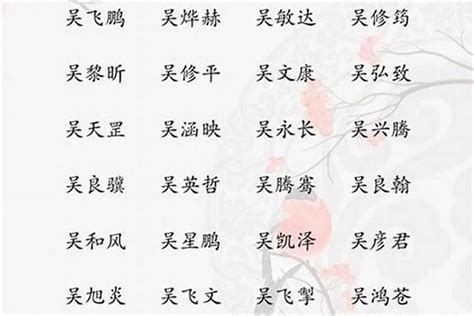 吳 取名|姓吴男孩名字大全